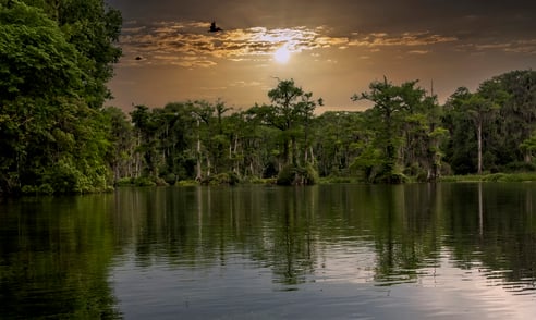 State of Florida Department of Environmental Protection (DEP), Planned Capital Spending Increased By 6%